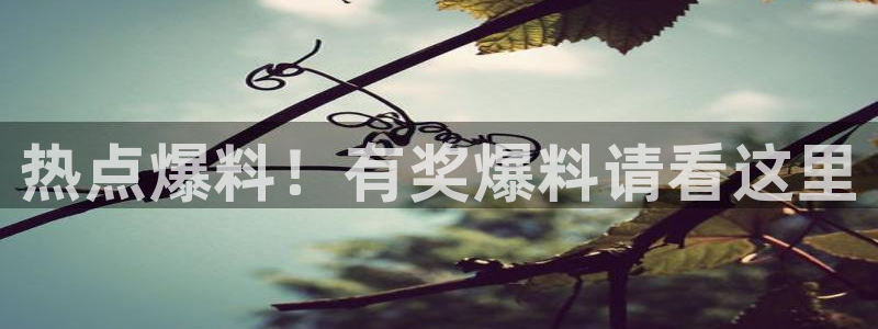 网传黑料：热点爆料！有奖爆料请看这里